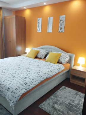 Sunshine apartment near the zoo, free parking